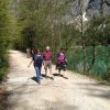 Mariazell_Weng_Admont_Ennstal_096